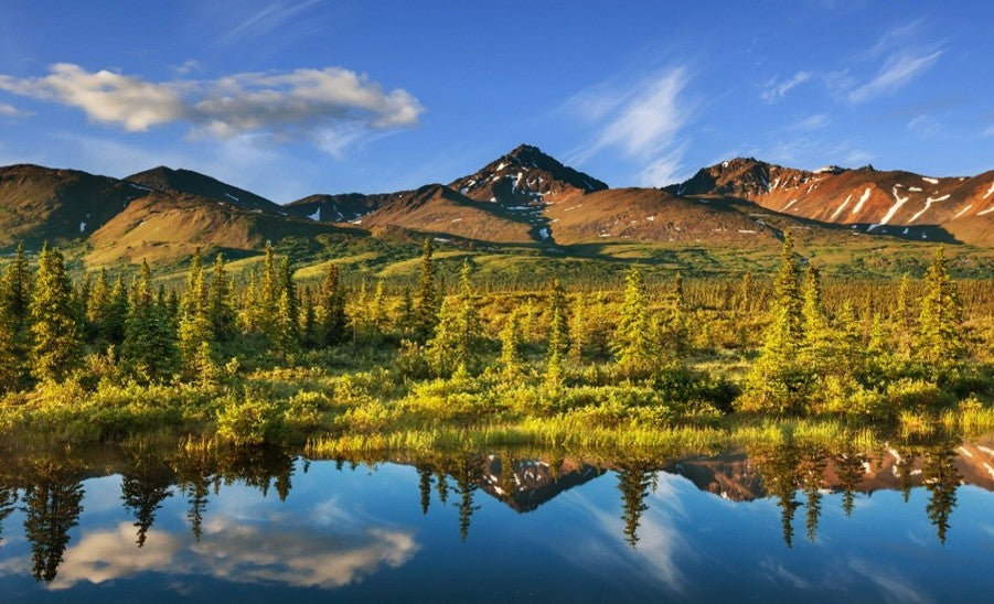 Afjordable Norway - Cruise Sept 2027