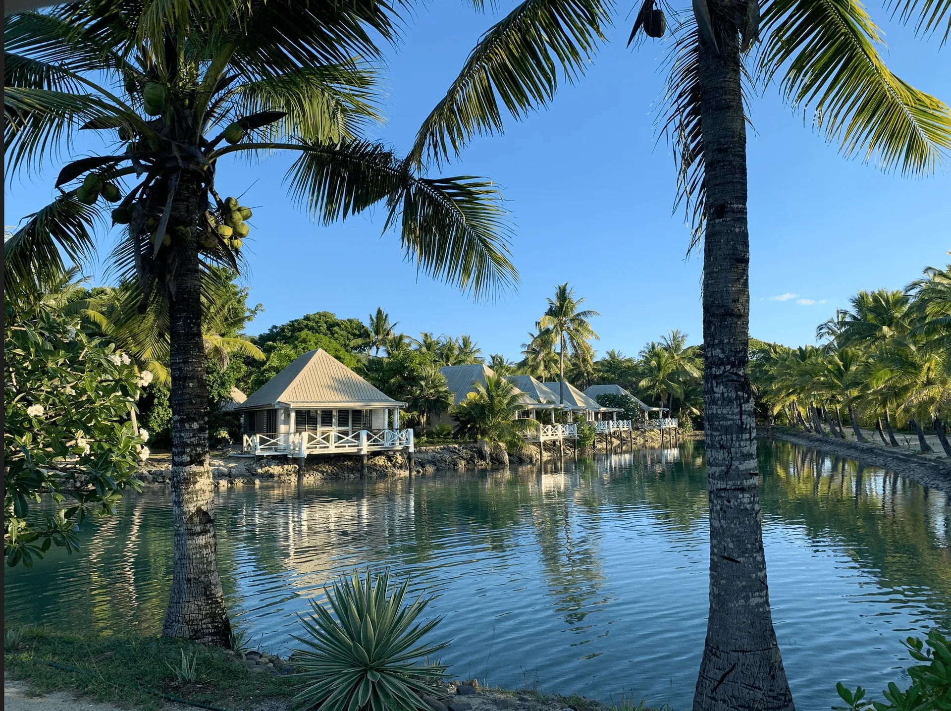 Pharmy in Fiji - ECT4Health Musket Cove Fiji CPD